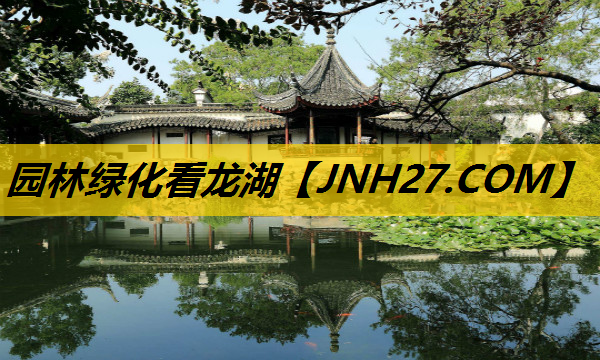 园林绿化看龙湖