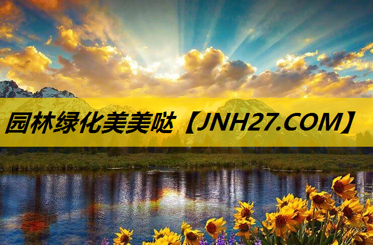 园林绿化美美哒