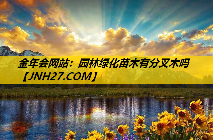 园林绿化苗木有分叉木吗