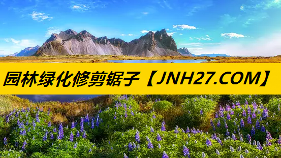 园林绿化修剪锯子