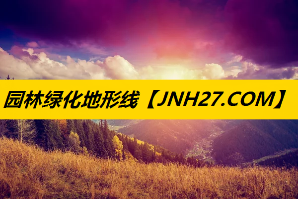 园林绿化地形线