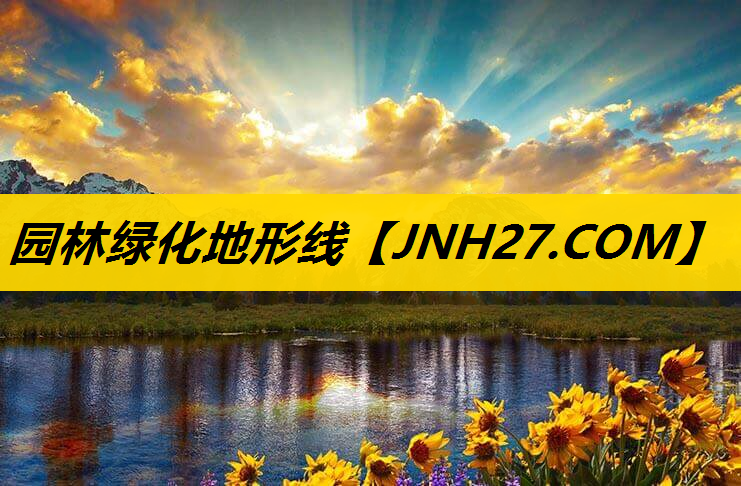 园林绿化地形线
