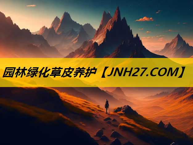 园林绿化草皮养护