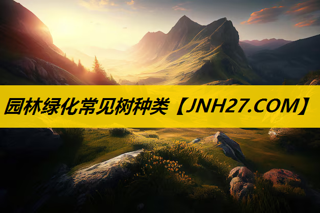 园林绿化常见树种类