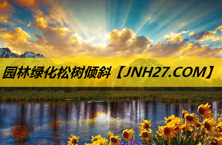园林绿化松树倾斜