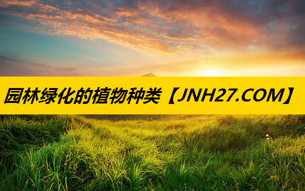 园林绿化的植物种类
