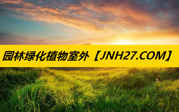 园林绿化植物室外