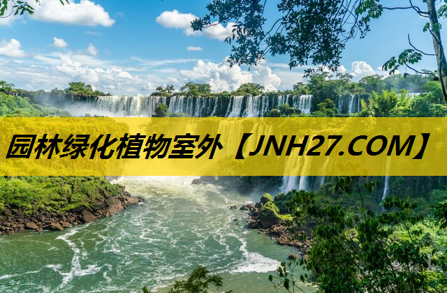 园林绿化植物室外