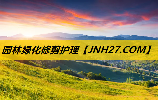 园林绿化修剪护理