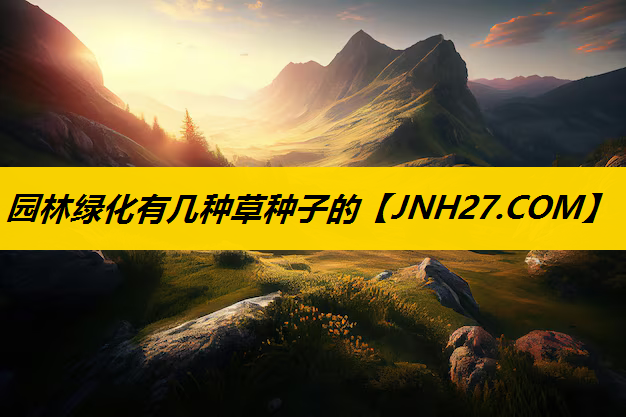 园林绿化有几种草种子的