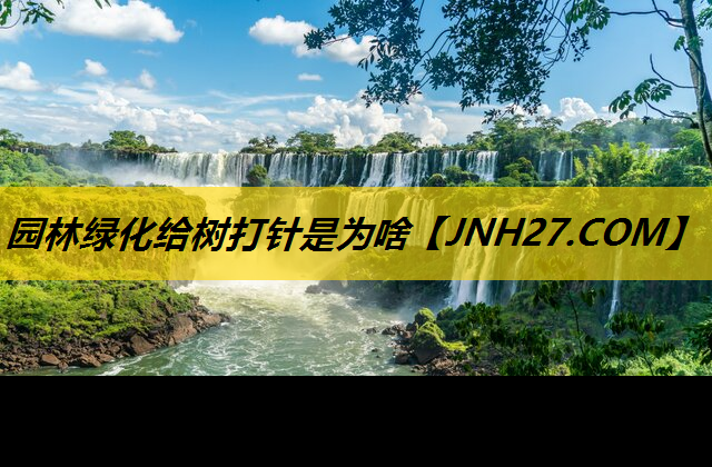 园林绿化给树打针是为啥