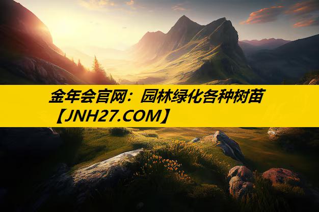 园林绿化各种树苗