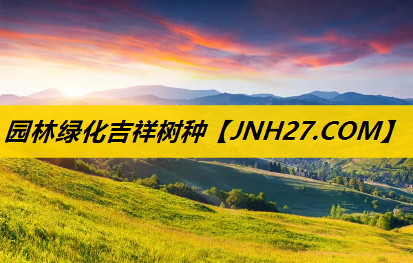 园林绿化吉祥树种