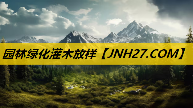 园林绿化灌木放样