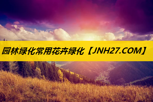 园林绿化常用花卉绿化
