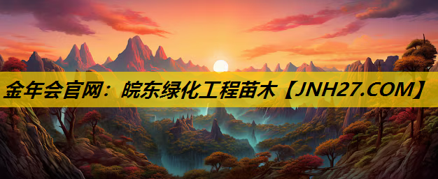 皖东绿化工程苗木