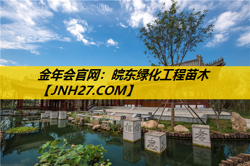 皖东绿化工程苗木