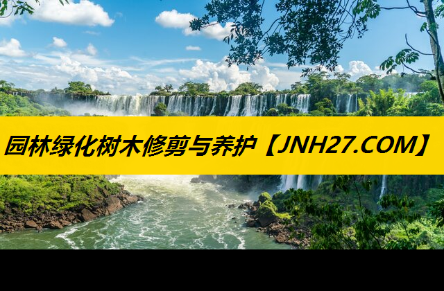 园林绿化树木修剪与养护