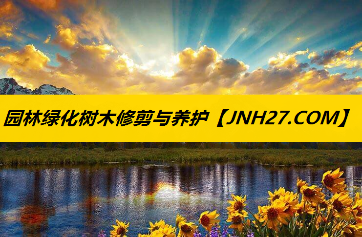园林绿化树木修剪与养护