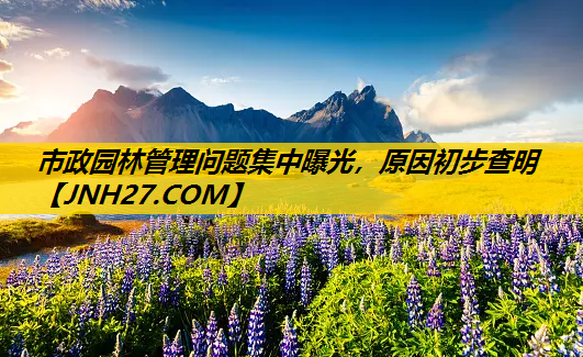 市政园林管理问题集中曝光，原因初步查明