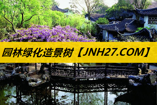 园林绿化造景树