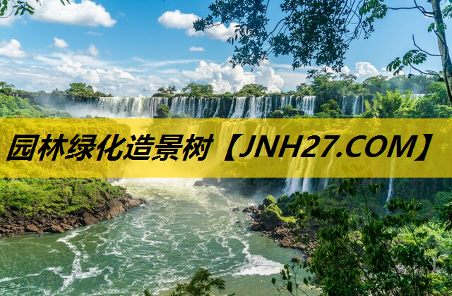 园林绿化造景树