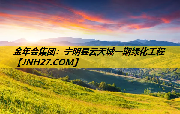 宁明县云天城一期绿化工程