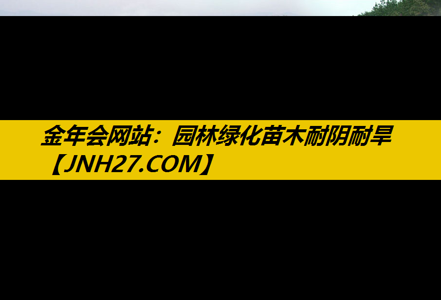 园林绿化苗木耐阴耐旱