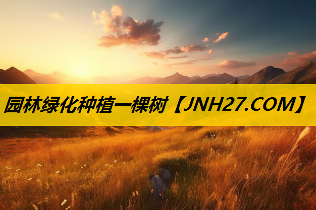 园林绿化种植一棵树