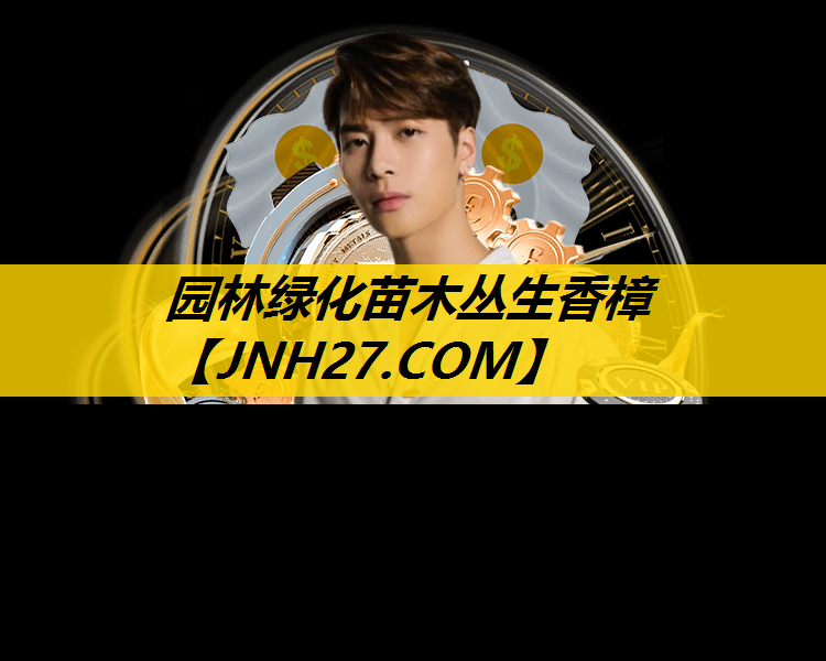 园林绿化苗木丛生香樟