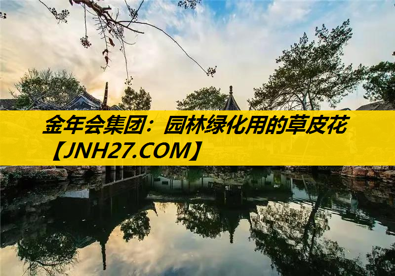 园林绿化用的草皮花