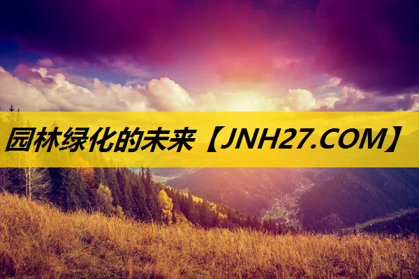 园林绿化的未来