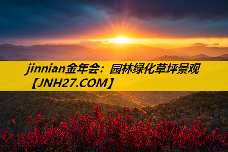 园林绿化草坪景观