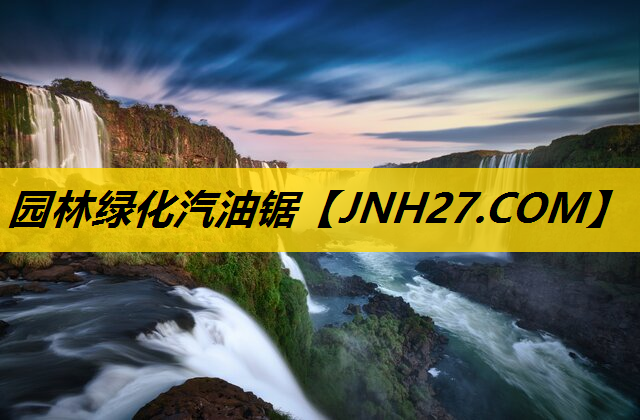 园林绿化汽油锯