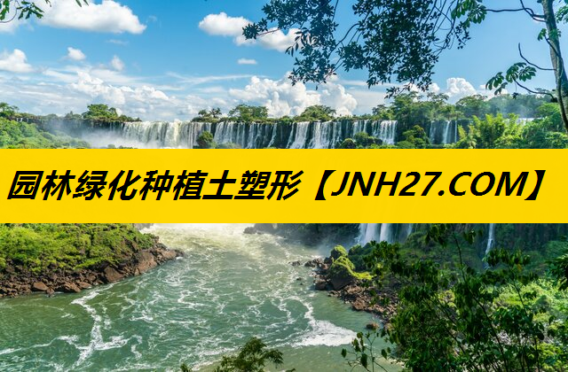 园林绿化种植土塑形