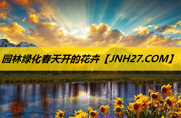 园林绿化春天开的花卉