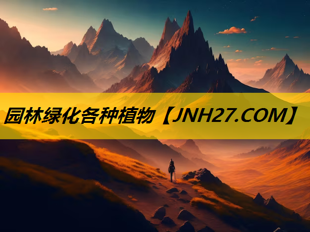 园林绿化各种植物