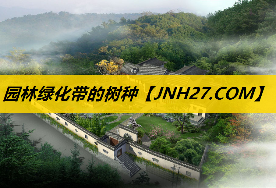 园林绿化带的树种