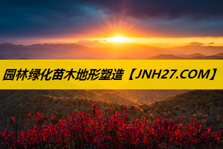 园林绿化苗木地形塑造