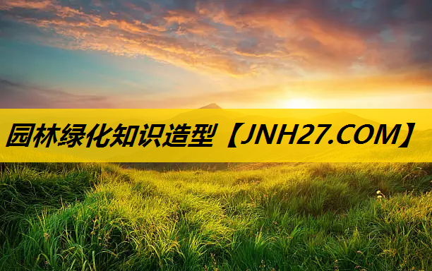 园林绿化知识造型