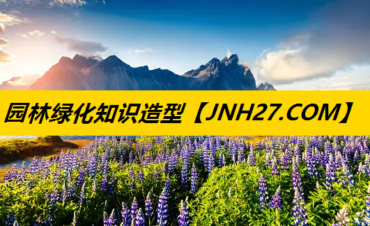 园林绿化知识造型