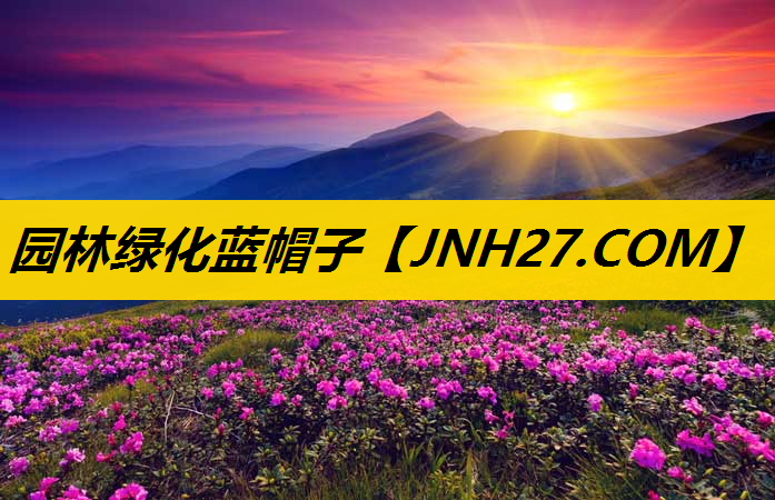 园林绿化蓝帽子
