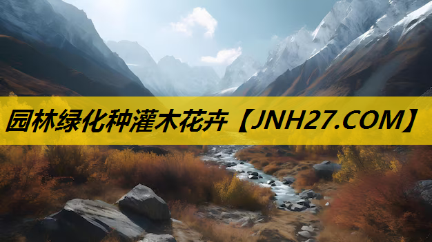 园林绿化种灌木花卉
