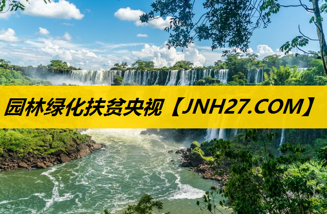 园林绿化扶贫央视